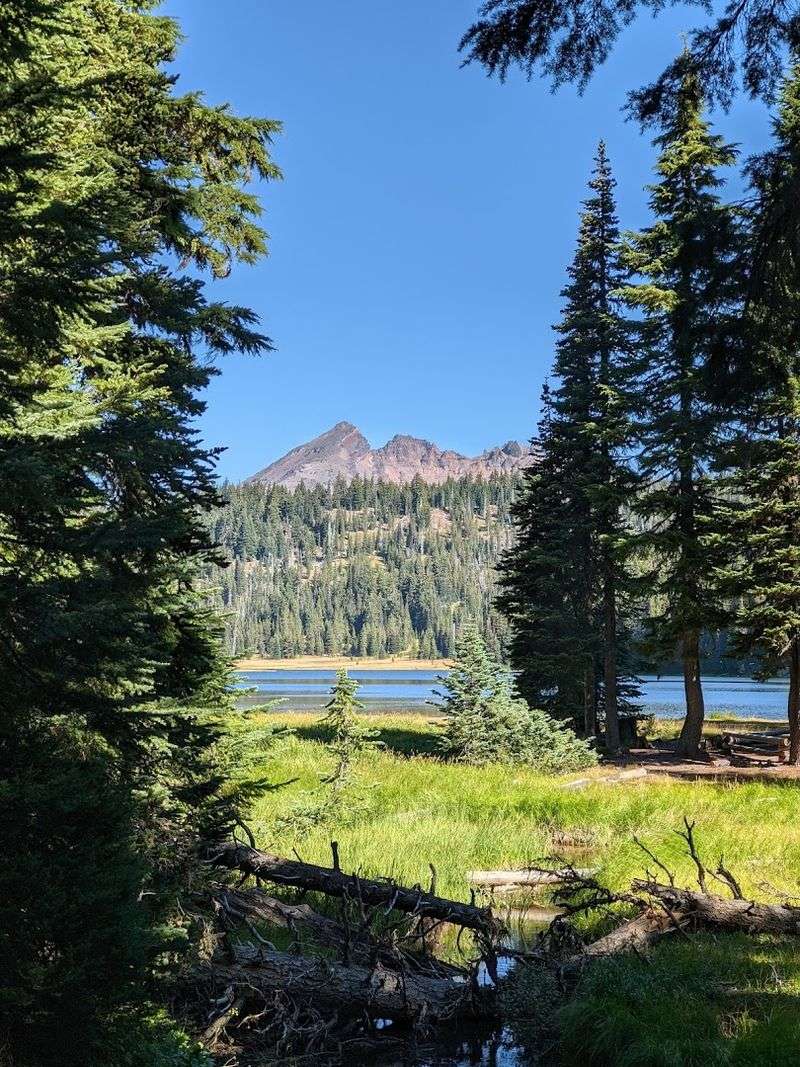 Camping Under the Stars at High Elevation