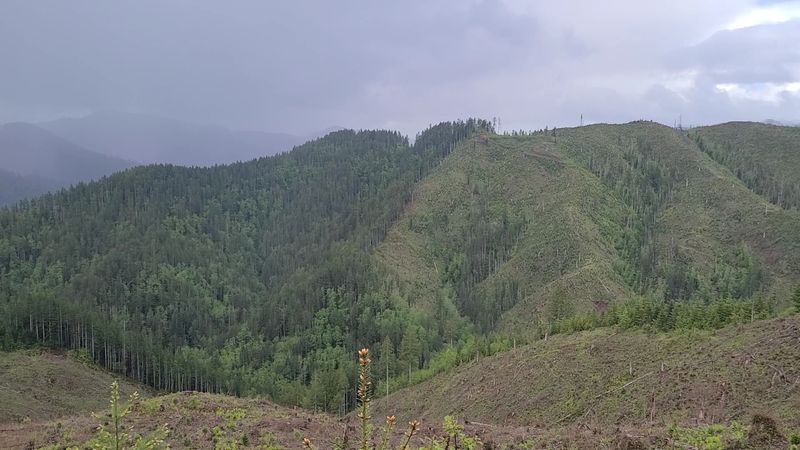 Trail Variety That Keeps Every Rider Guessing