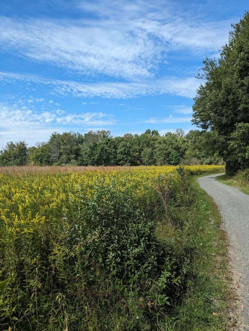 The Farm History District: A Living Lesson in the Past