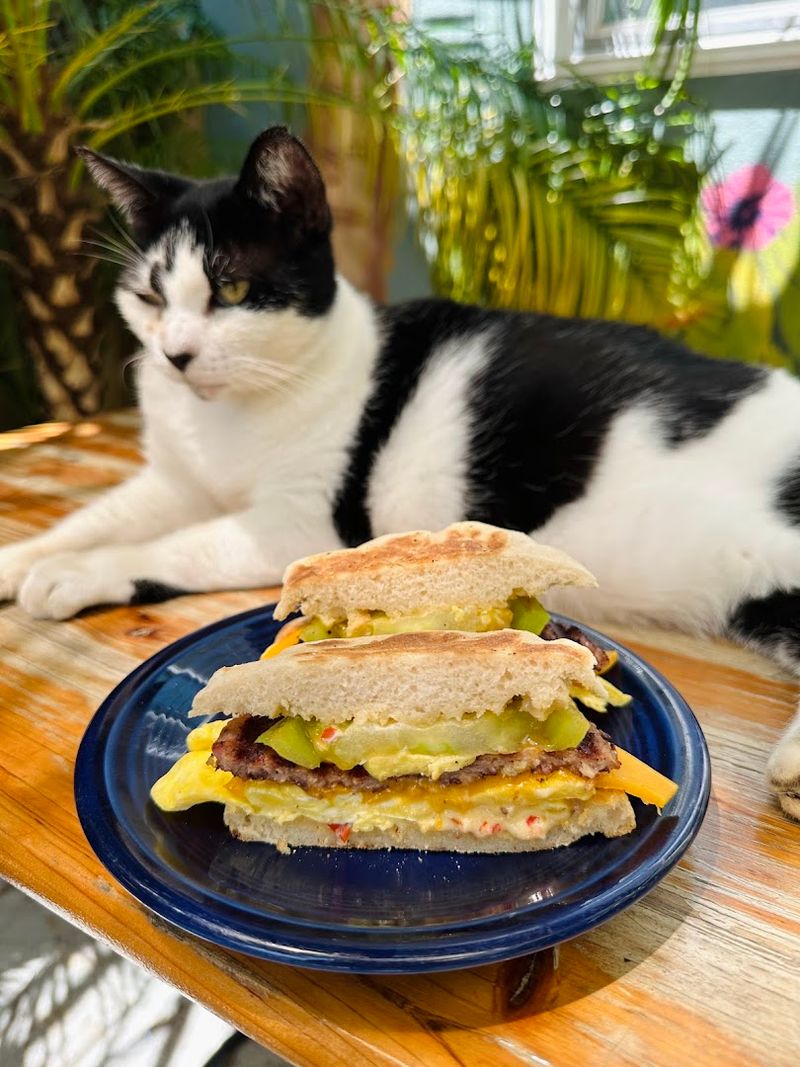 The Southern Chicken Biscuit Brings A Little More Drama