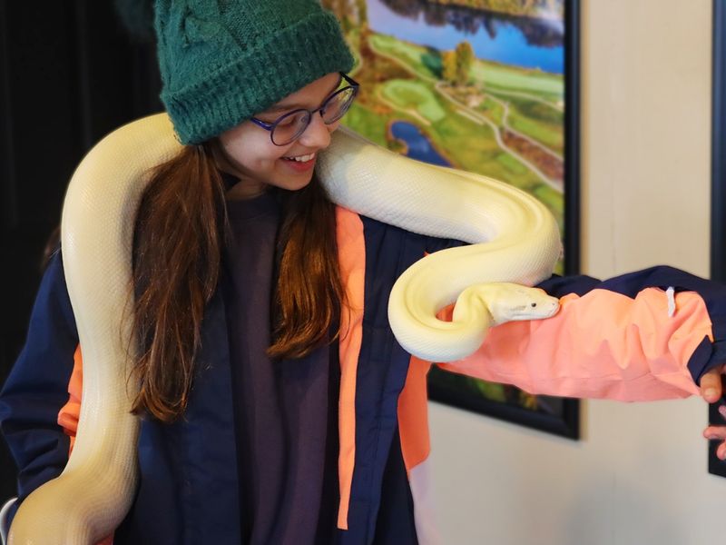 The Nature Center and Wildlife Encounters