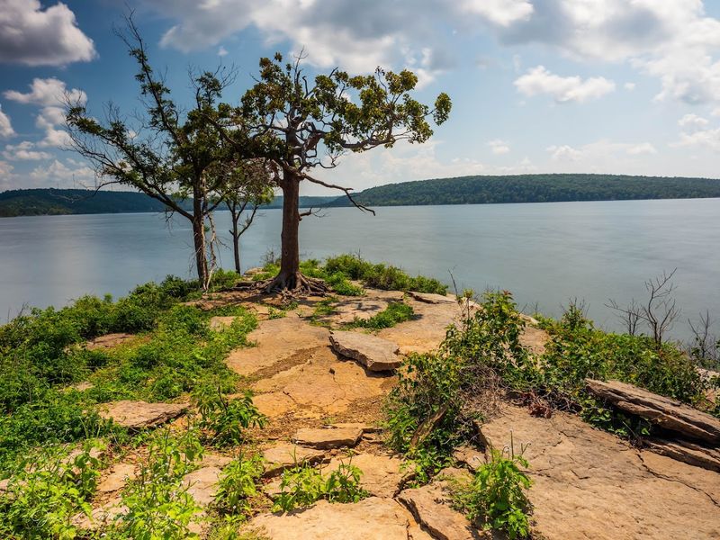 Wildlife Shows Up Unannounced And Steals The Show