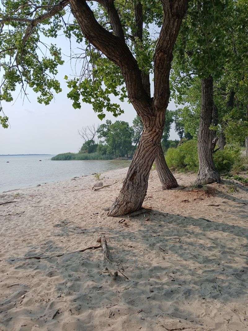 Swimming at Canton Lake: Beaches Worth the Drive