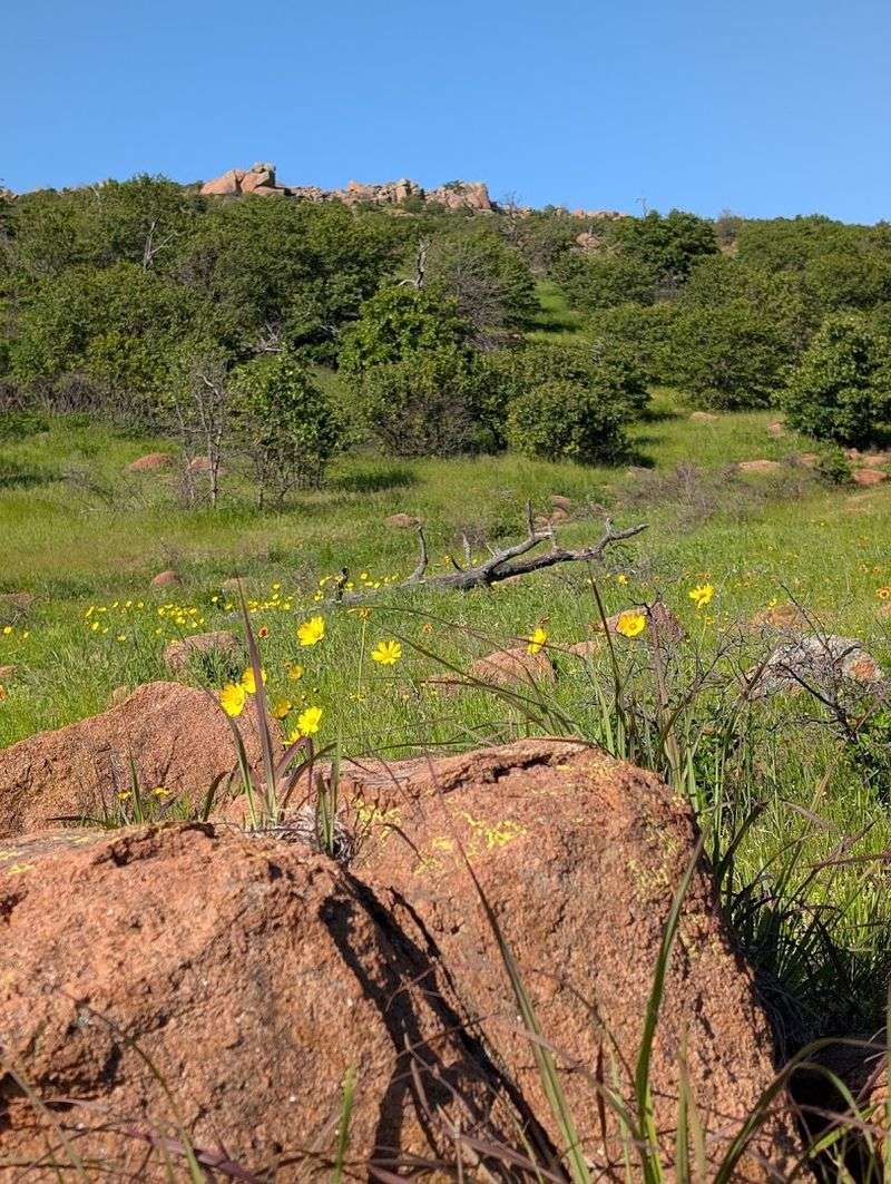 The Best Seasons to Plan Your Trip