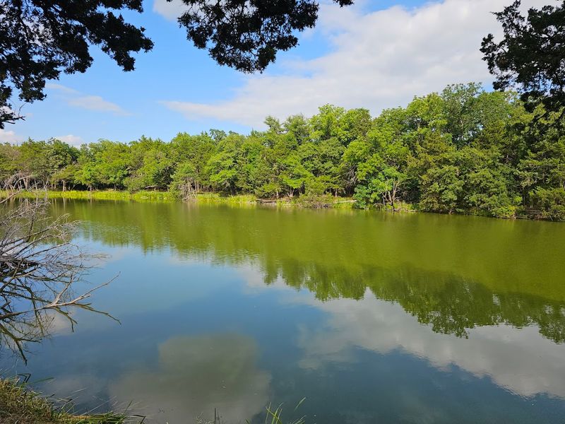 A Swimming Pool Setup Built for Summer Fun