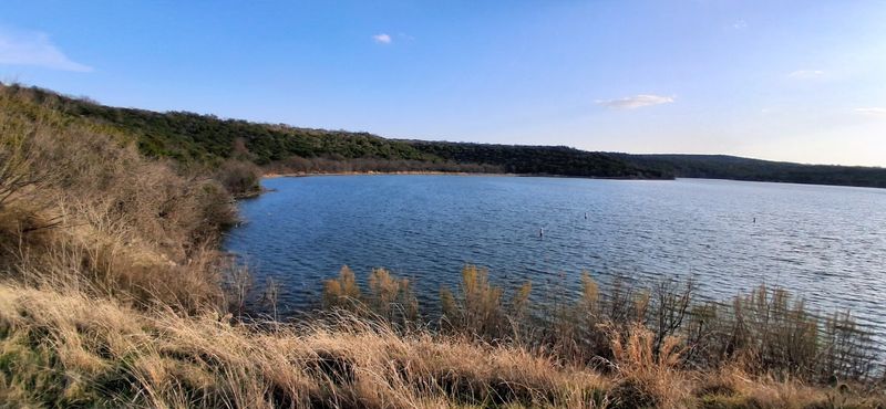 Wildlife That Reminds You This Land Is Alive