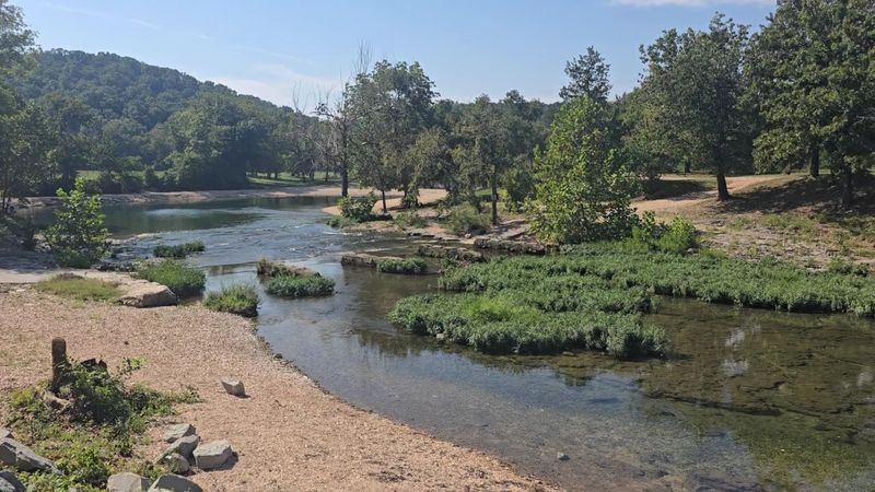 Bringing the Kids Here Is Practically a Parenting Win