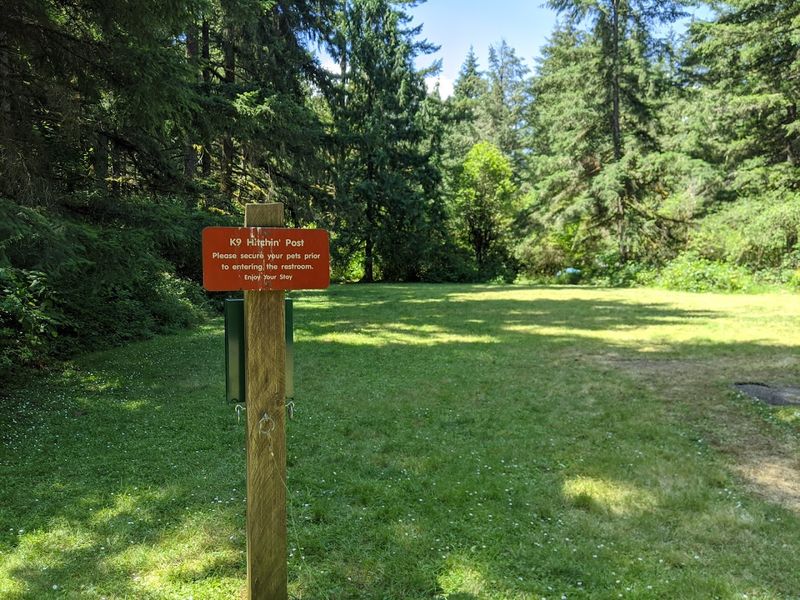 Disc Golf That Draws Its Own Dedicated Crowd