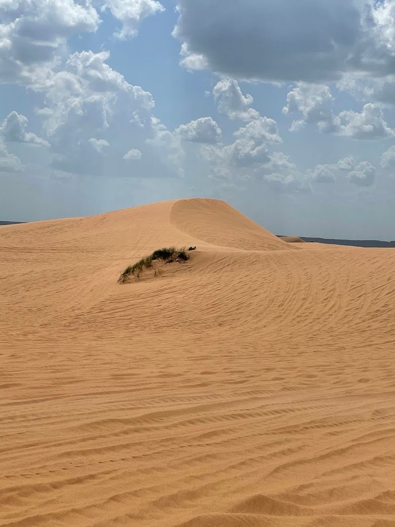 The Wind Shapes Everything Here