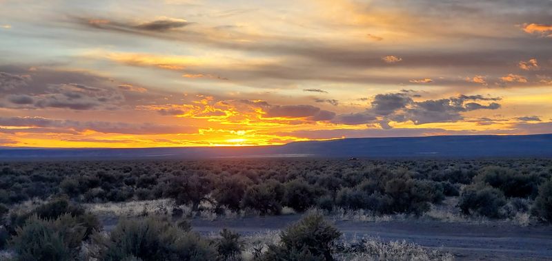 The Desert Landscape: More Beautiful Than You Expect