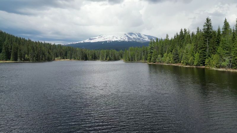 Fishing for Trout in a Scenic Setting