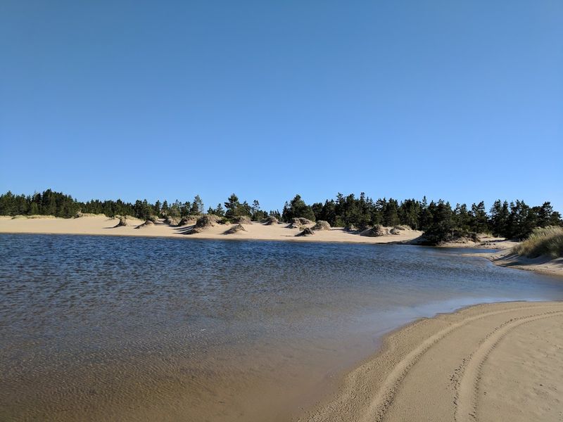 Freshwater Lakes Hidden Among the Sand