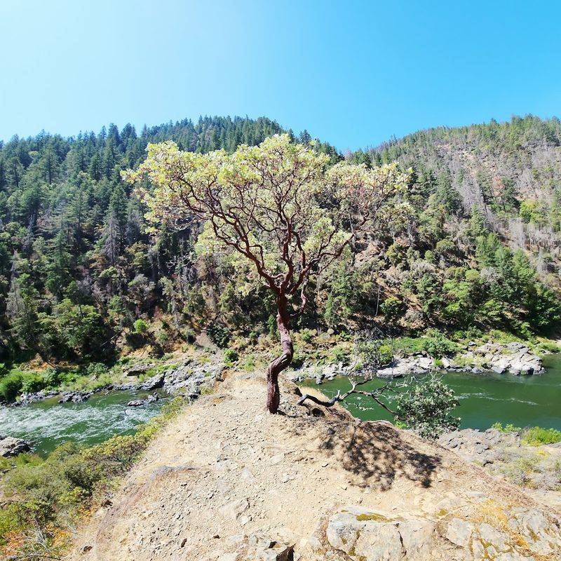 The Grave Creek Trailhead: Your Gateway Into the Wild