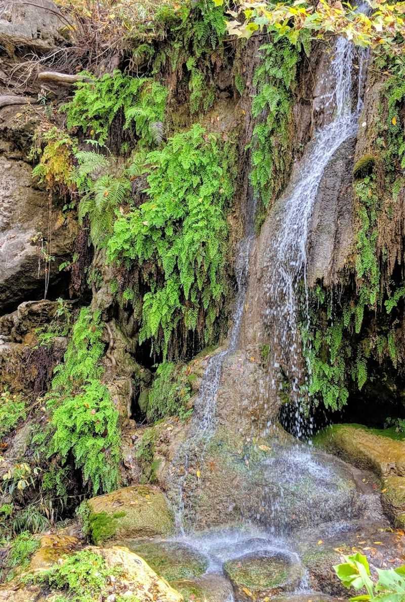 Trails, Springs, and 40 Acres Worth Exploring