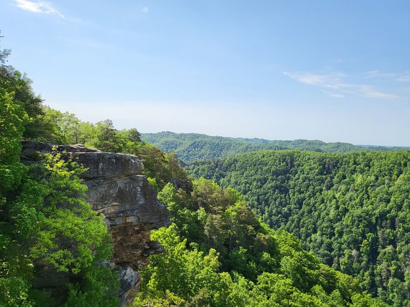 The Zipline Experience Above the Canyon