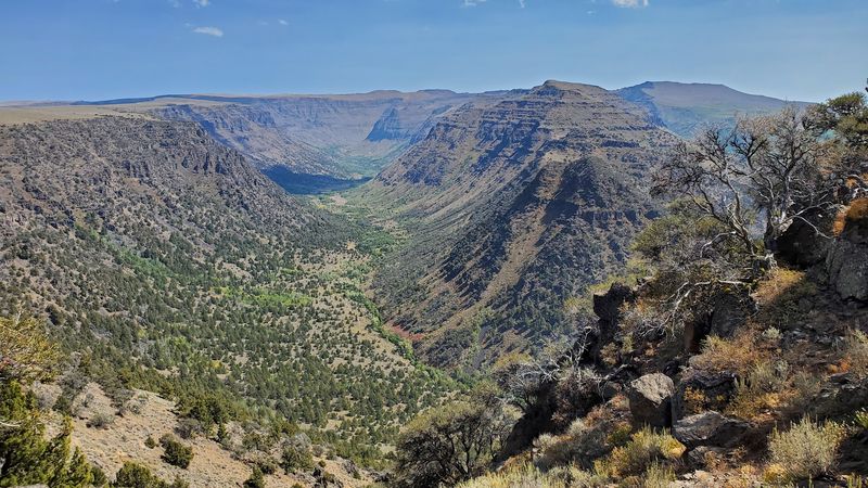 Wildlife Watching: More Than Just Wild Horses