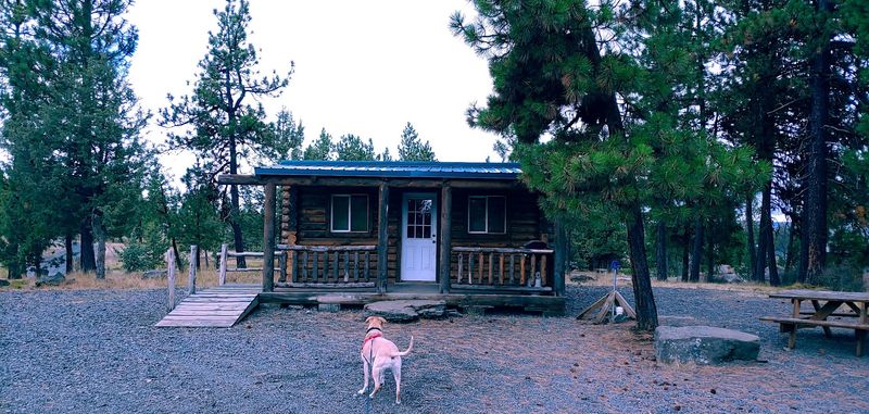 Cabins for Those Who Prefer Walls Over Tent Poles