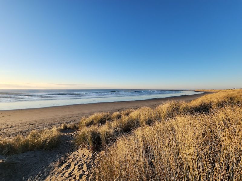 South Beach State Park