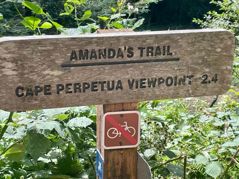 Tips for Visiting Amanda's Trail in Yachats, Oregon