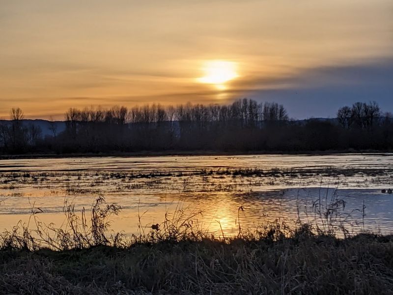 Ridgefield National Wildlife Refuge, Ridgefield, Washington border, Oregon