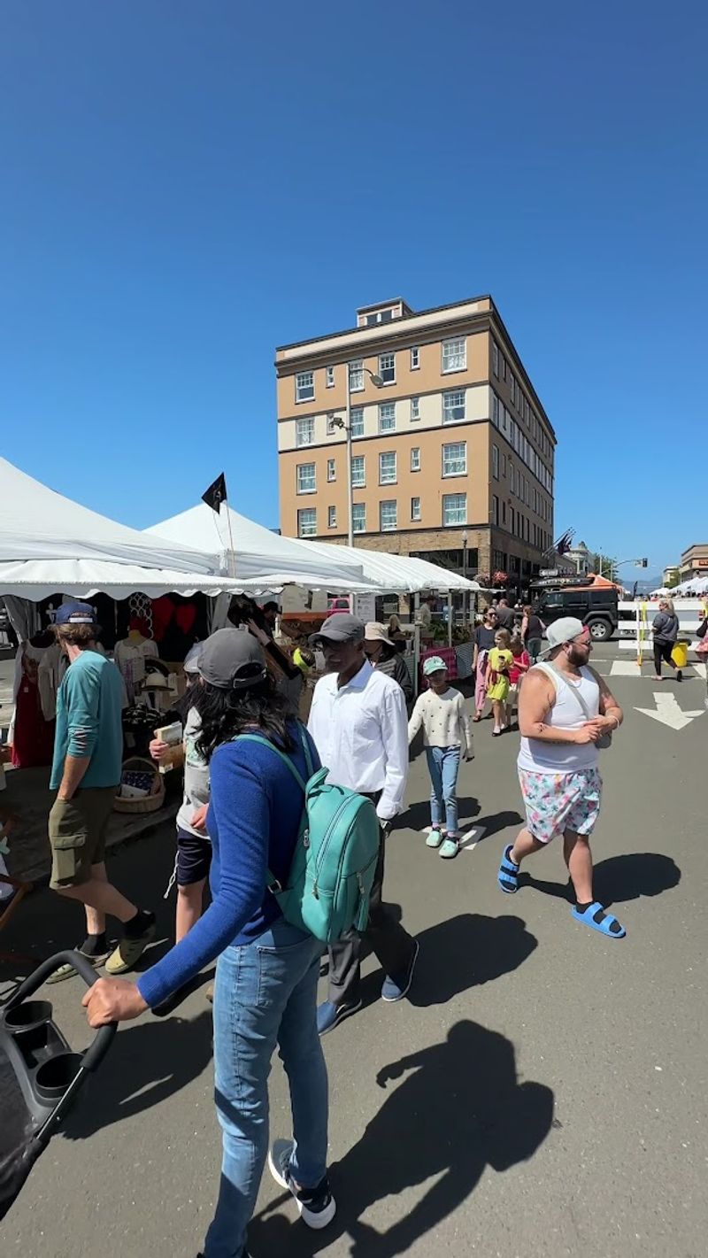 The Astoria Sunday Market Oddities Vendors, Astoria, Oregon