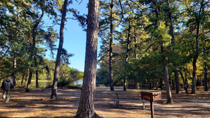 Picnic Pavilion Where Lunch Tastes Better Outdoors
