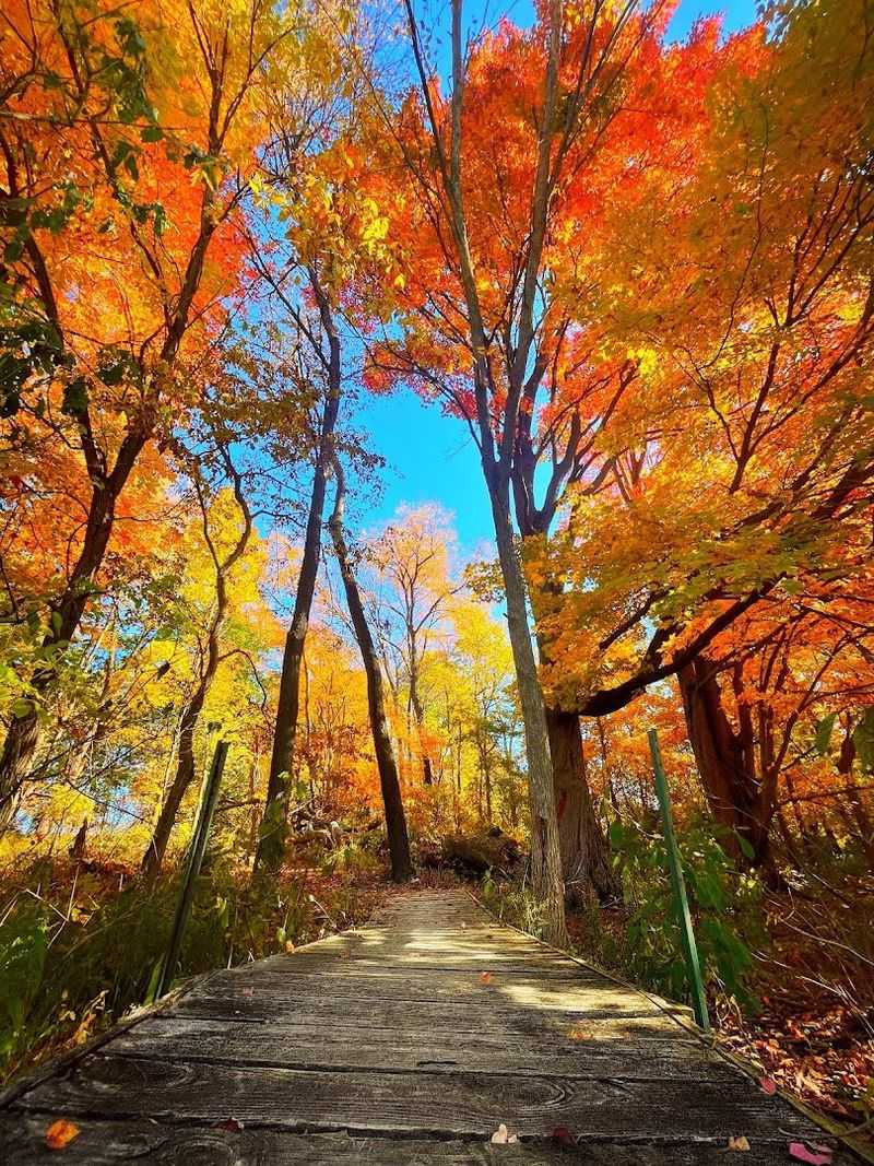The Boardwalk Experience That Puts You Directly Over the Water