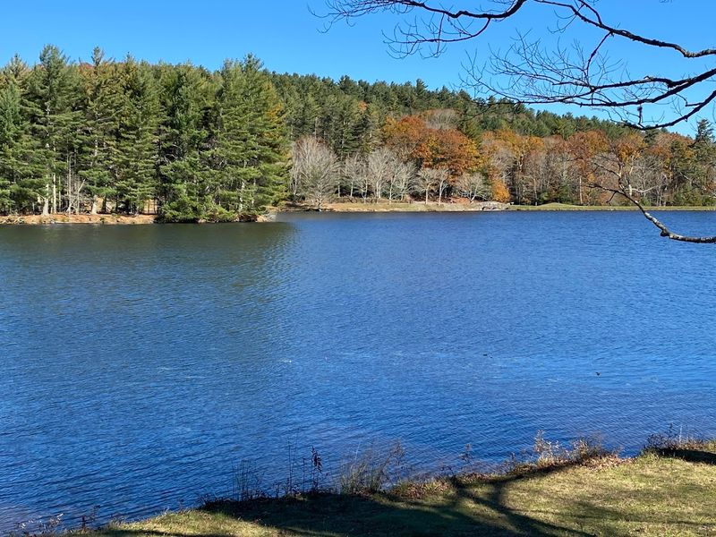 Bass Lake Loop That Feels Calm Without Trying