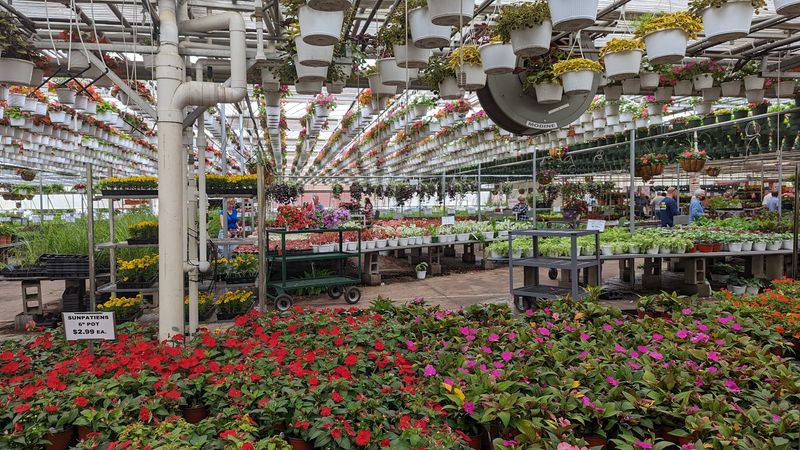 Spring Planting Season: When the Magic Really Kicks Off