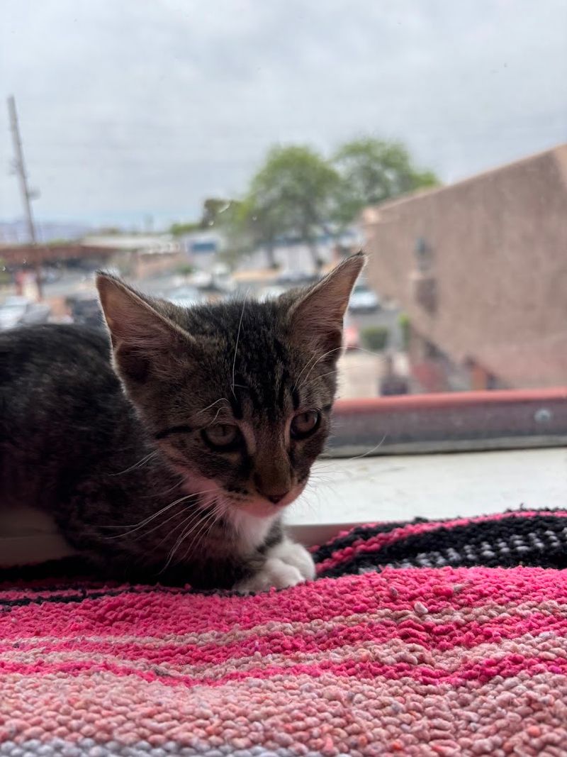 One Hour Lounge Sessions That Keep The Energy Moving