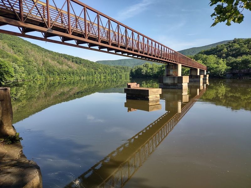 Swimming and Playing in the James River Below