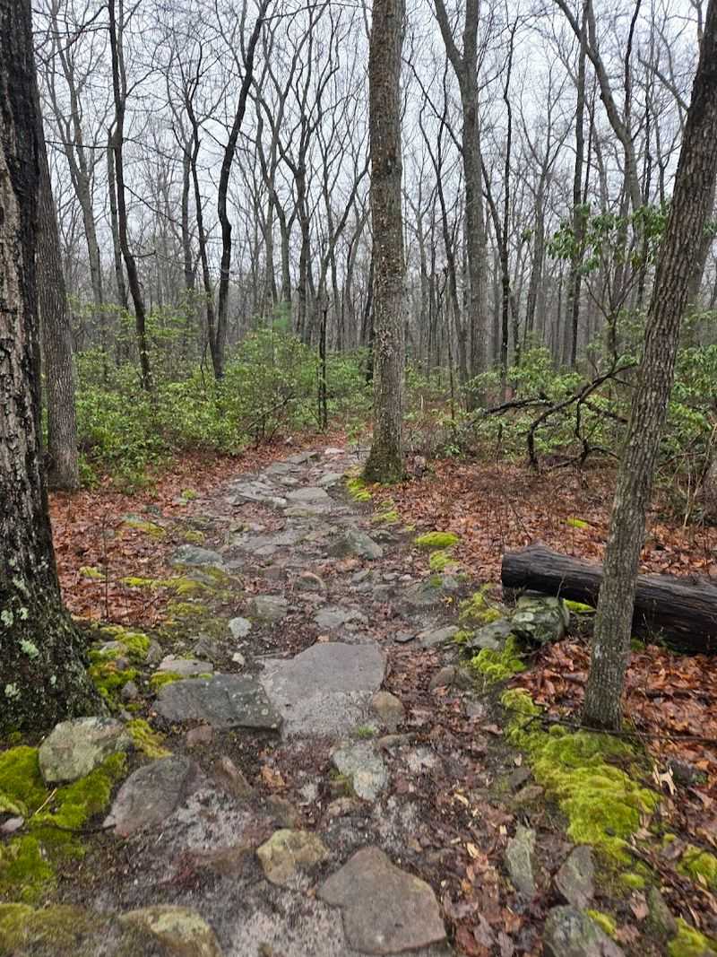 The Ridge Trail: Where the Views Start Getting Serious
