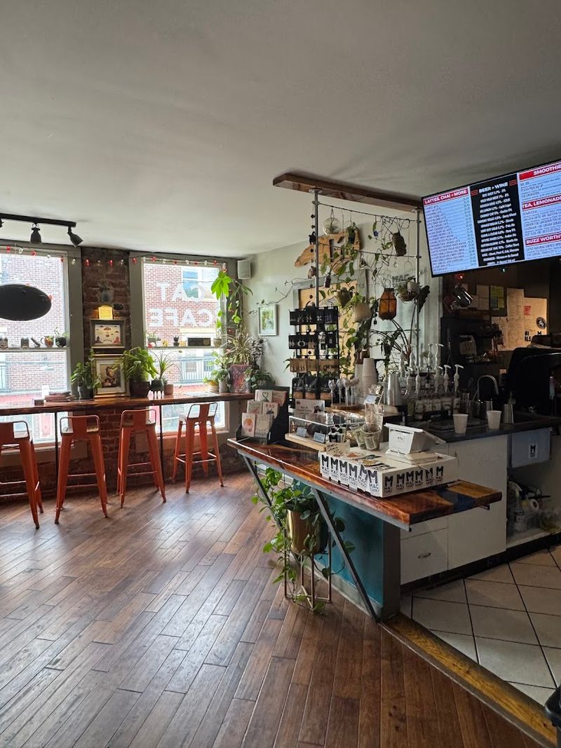 Why The Adoptable-Cat Angle Makes It More Meaningful