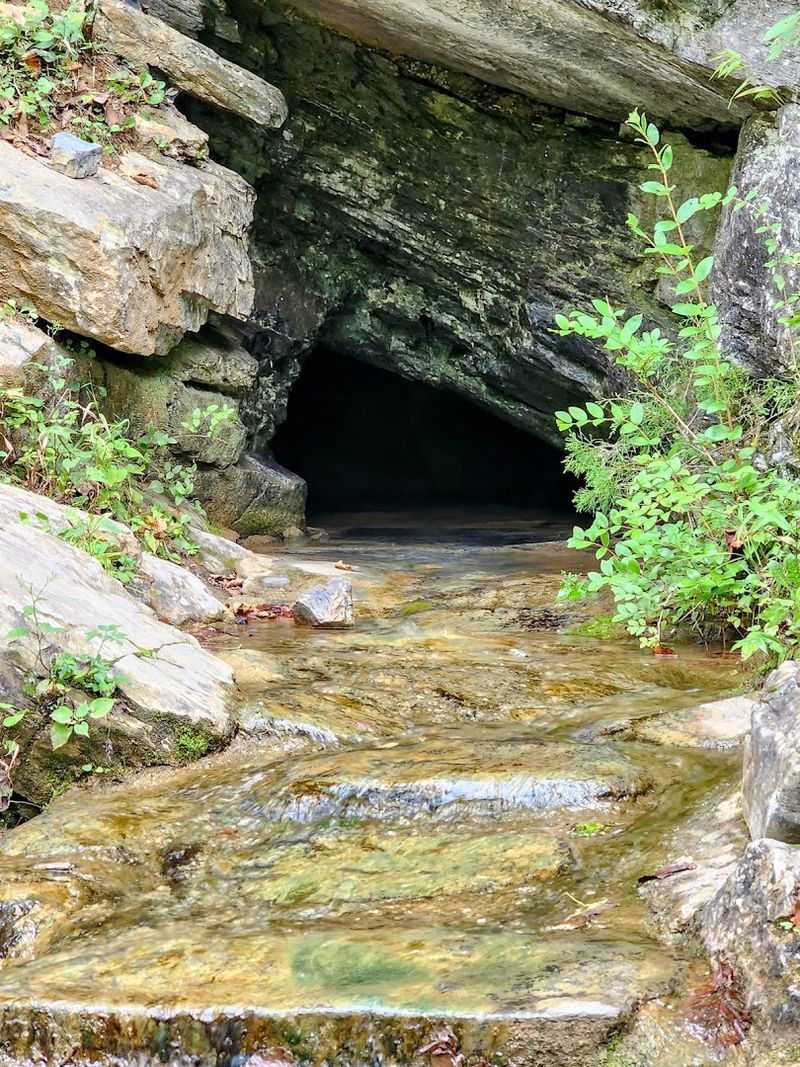 Saltpeter Cave: A Cool Underground Surprise