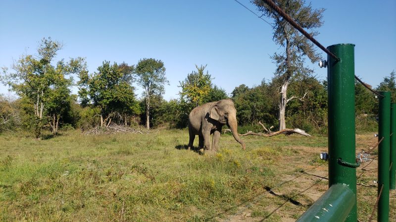 What the Grounds Feel Like When You Slow Down