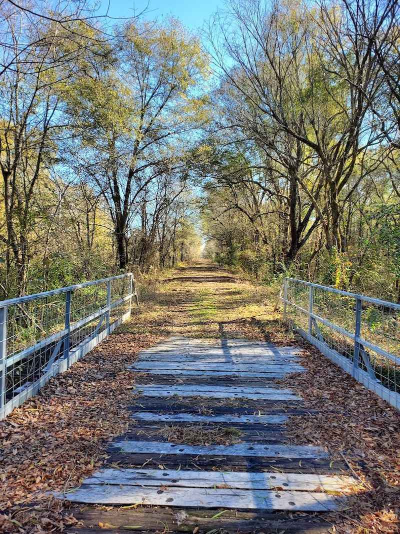 Over 100 Rail Bridges: The Engineering Marvels You Cross Without Thinking