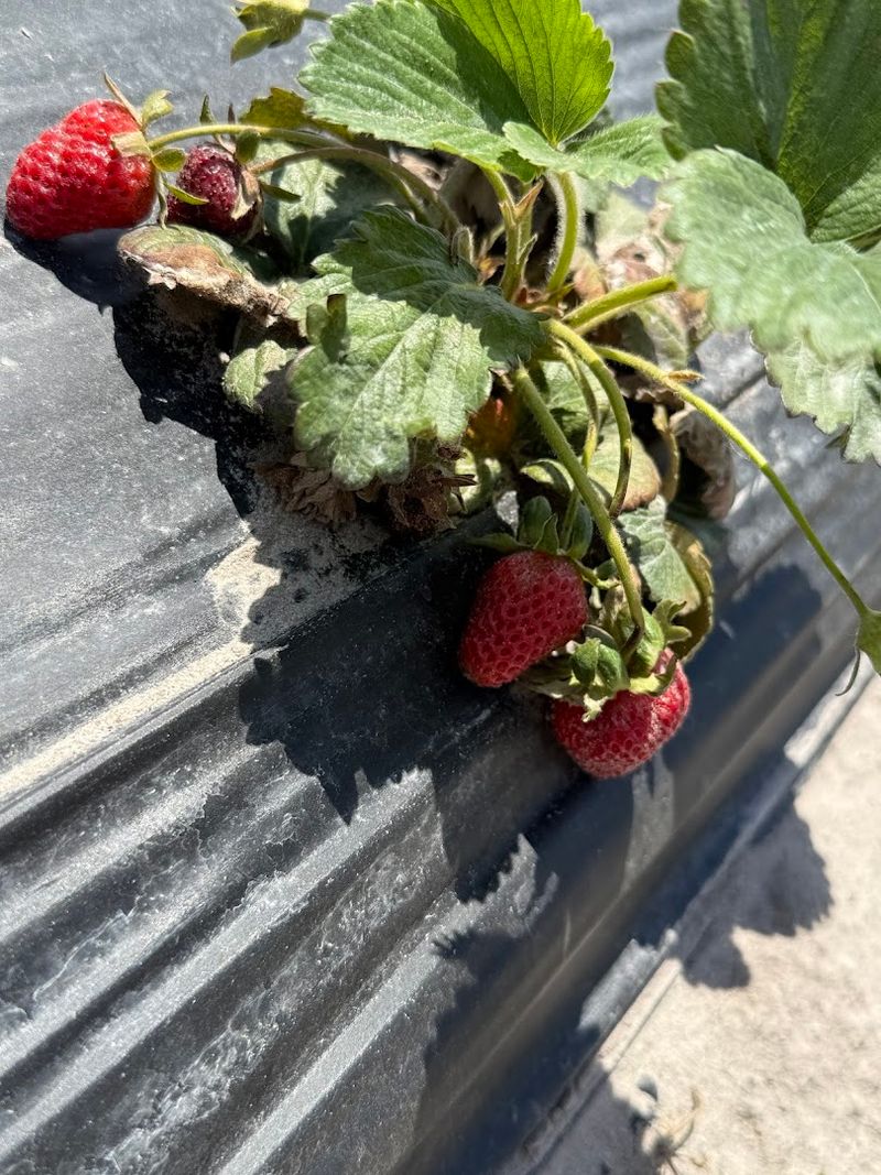 Eerie Music That Gets Under Your Skin