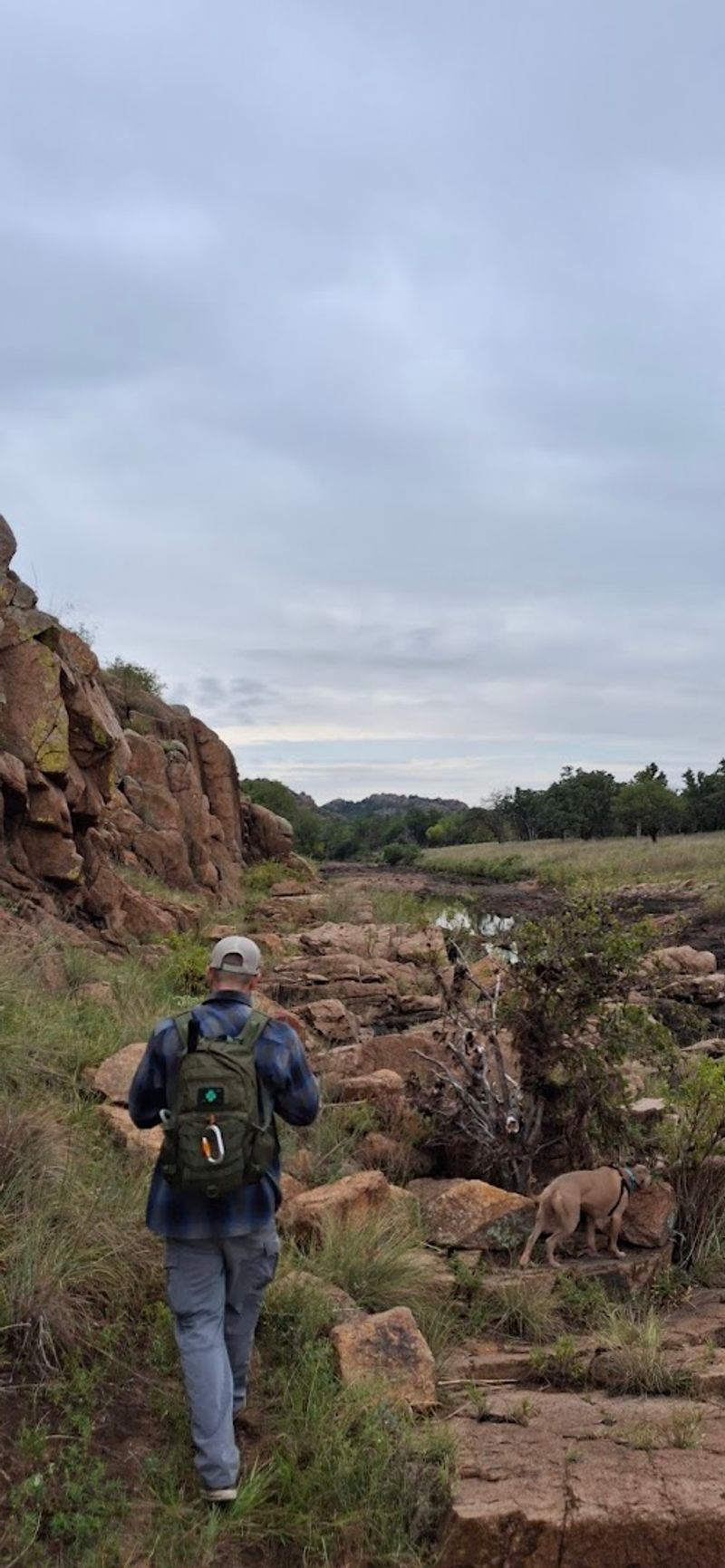 The First Steps Feel Deceptively Easy