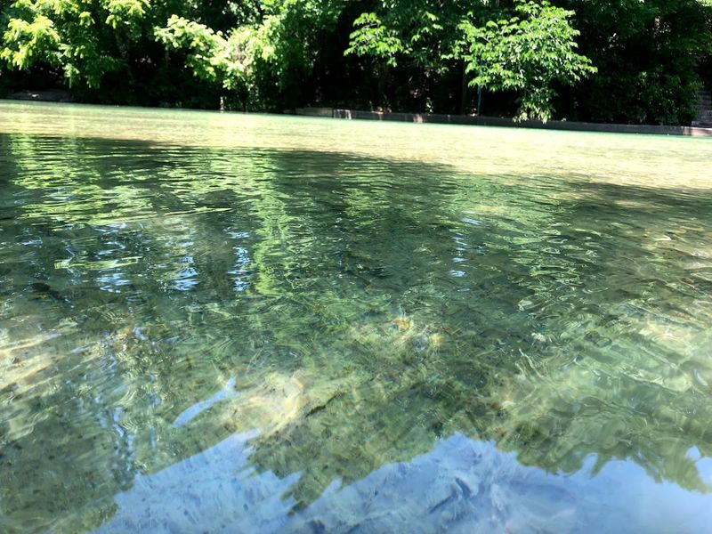 Honey Creek: The Hidden Stream Behind the Magic