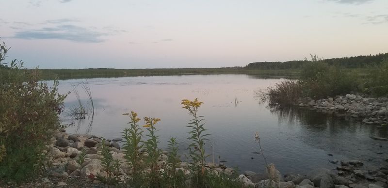 Falcon Lake