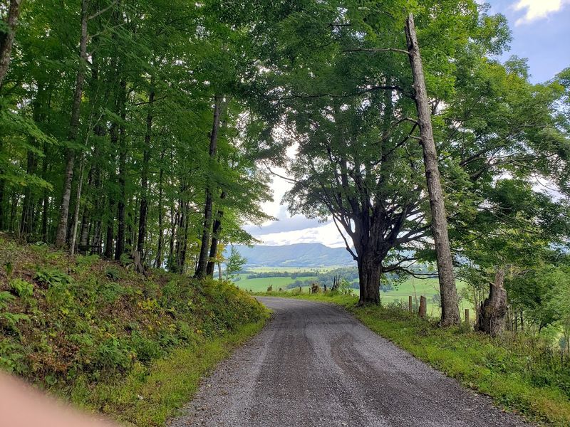 Roads That Challenge Modern Vehicles