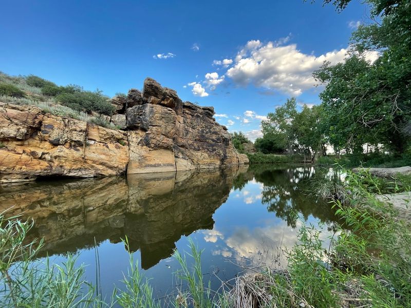 The Black Mesa Nature Preserve and Its Wild Residents