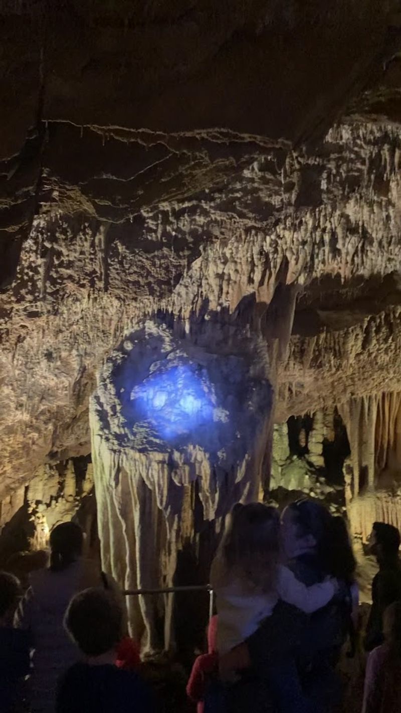 The Guided Tour Experience: More Than Just Walking Through a Cave