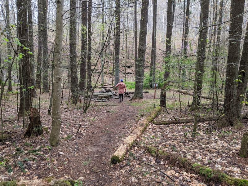 Free Admission and Primitive Camping Along the Trails
