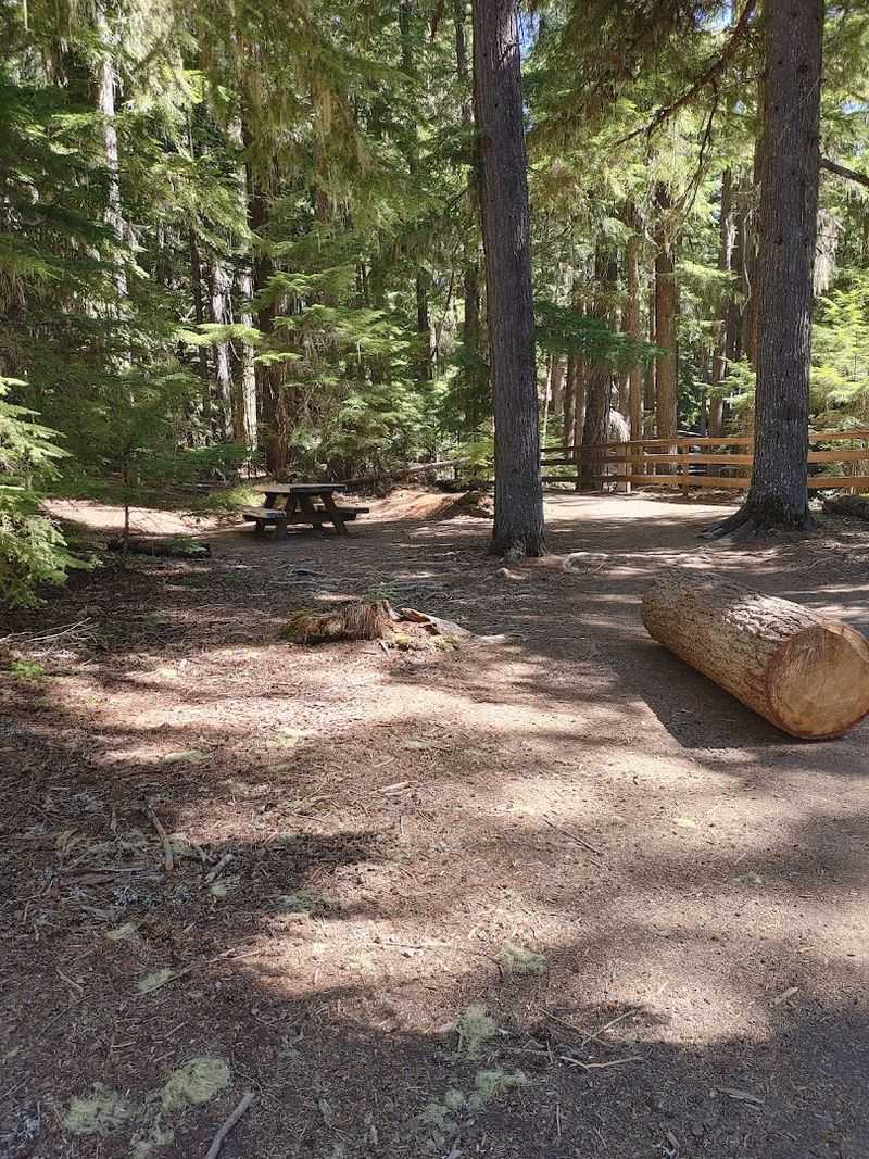 A Perfect Picnic Spot in the Forest