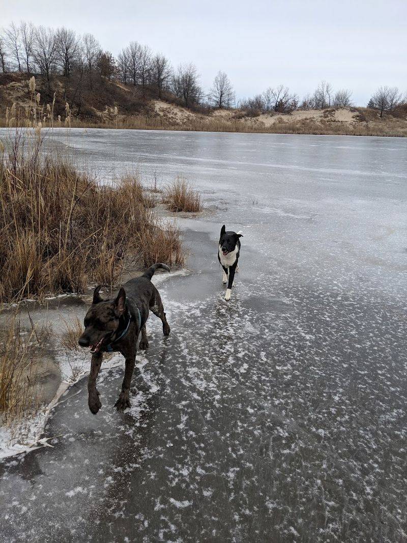 A Trail That Rewards You for Caring About Nature