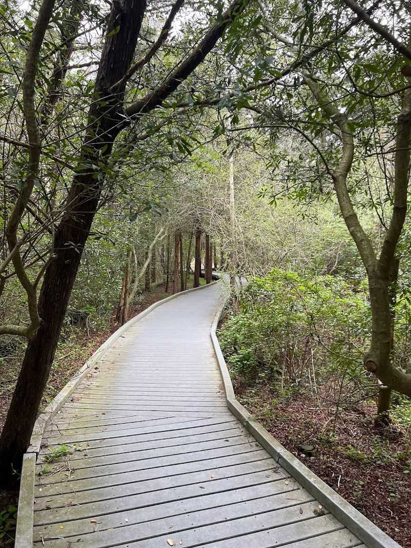 The Red Trail Boardwalk: Easy Walking, Big Rewards