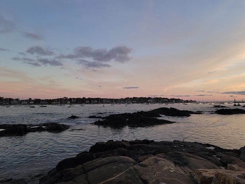 Best Timing Tips Before Summer Traffic Takes Over