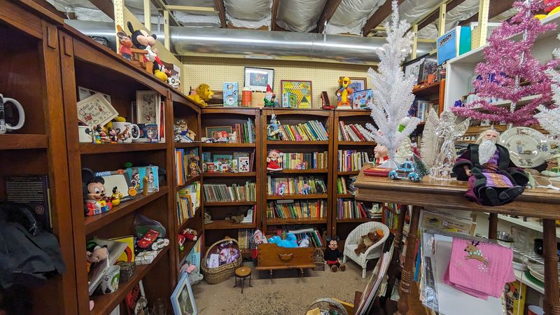 Books and Paper Ephemera for the Curious Mind