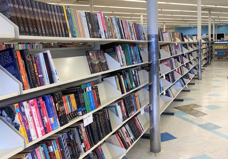 Volunteering for Books Is the Best Deal in Richmond